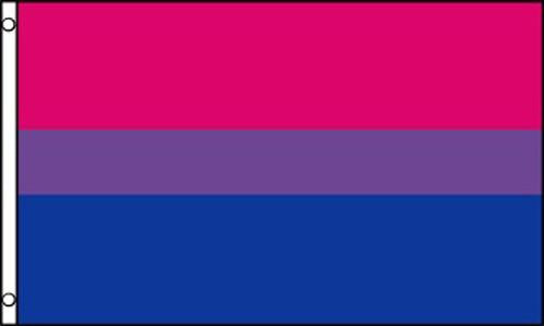 BI PRIDE RAINBOW bisexual (3ft X 5ft) FLAG