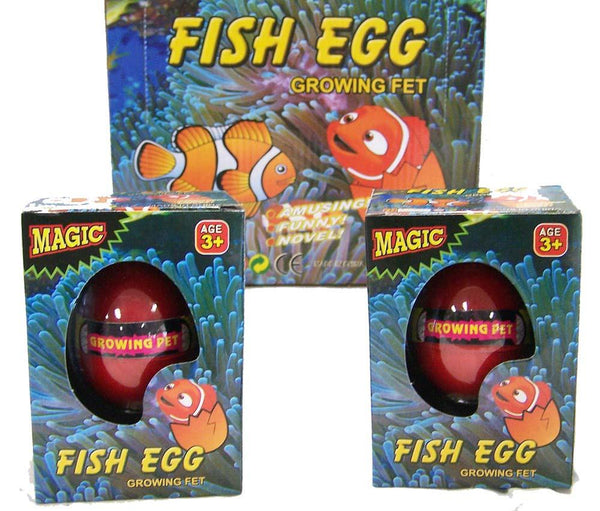 HATCH EM GROWING  CLOWN FISH EGGS