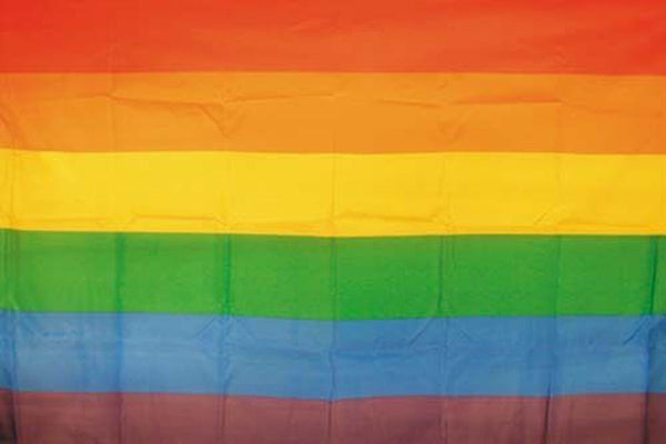 STANDARD RAINBOW GAY PRIDE (3ft X 5ft) FLAG -