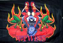 V TWINS CHICKS (3ft X 5ft) FLAG