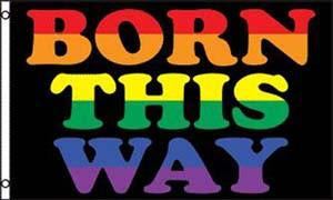 RAINBOW BORN THIS WAY (3ft X 5ft) FLAG