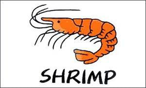 SHRIMP WHITE (3ft X 5ft) FLAG