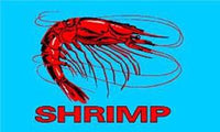 SHRIMP BLUE (3ft X 5ft) FLAG