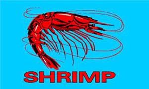 SHRIMP BLUE (3ft X 5ft) FLAG