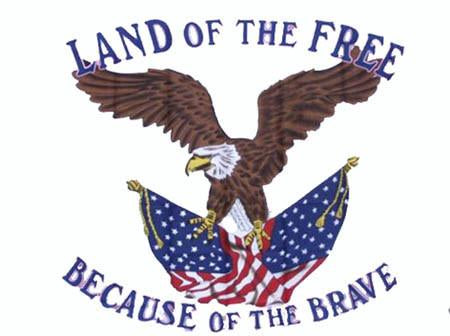LAND OF THE FREE BECAUSE OF THE BRAVE (3ft X 5ft) FLAG