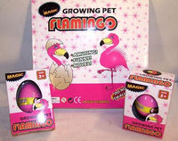 HATCHING & GROWING FLAMINGO EGGS