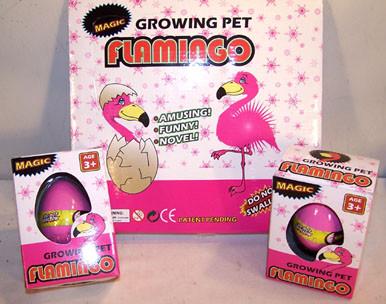HATCHING & GROWING FLAMINGO EGGS