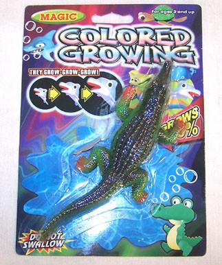 GROWING CROCOLDILE 6 INCH