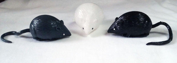 SQUISHY SPLAT MOUSE / RAT