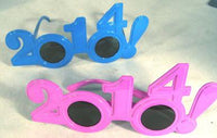 2014 PARTY SUNGLASSES