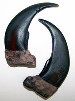 LARGE 3 INCH GRIZZLY BEAR CLAW REPLICAS
