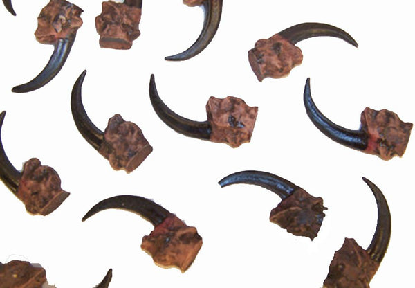 REPLICA EAGLE CLAWS ( sold by the dozen, PIECE OR 100 PC )