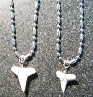 STAINLESS STEEL BALL CHAIN NECKLACE WITH WIRE WRAPPED REAL SHARK TOOTH PENDANT