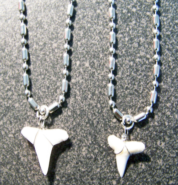 STAINLESS STEEL BALL CHAIN NECKLACE WITH WIRE WRAPPED REAL SHARK TOOTH PENDANT