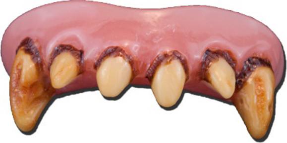 TOP SET OF WEREWOLF BILLY BOB TEETH